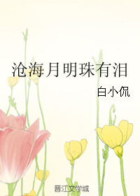 沧海月明珠有泪的典故的寓意
